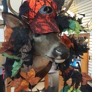 Meet your Posher, Suzan